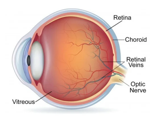 retina-service